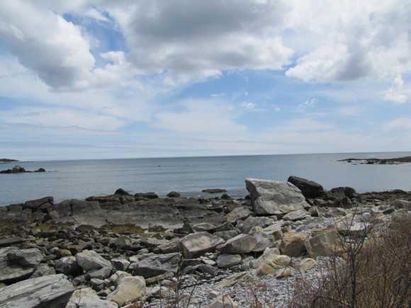 Nova Scotia Real Estate - Beach Meadows Oceanfront