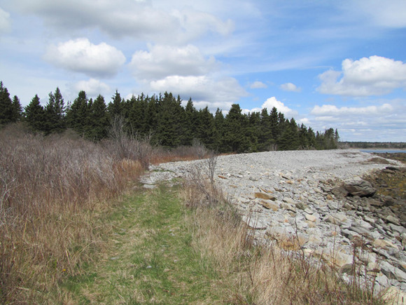 Nova Scotia Real Estate - Beach Meadows Oceanfront