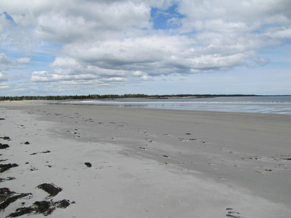 Nova Scotia Real Estate - Beach Meadows Oceanfront