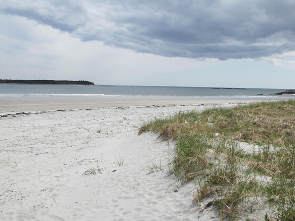 Nova Scotia Real Estate - Beach Meadows Oceanfront