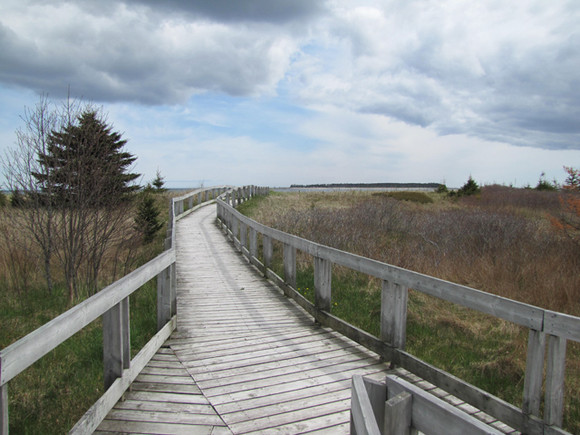 Nova Scotia Real Estate - Beach Meadows Oceanfront