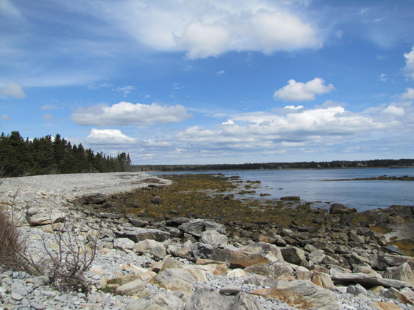 Nova Scotia Real Estate - Beach Meadows Oceanfront