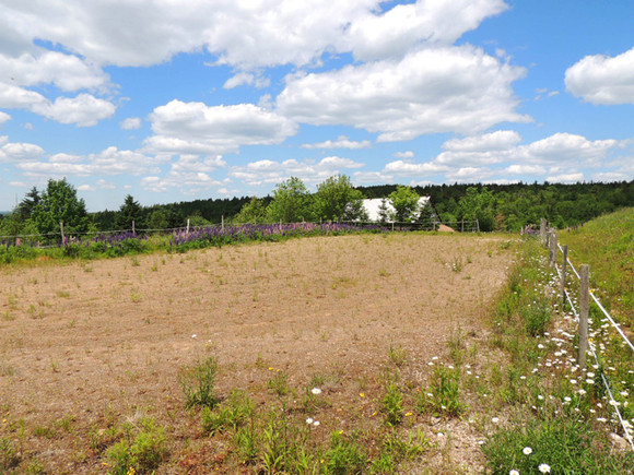 Nova Scotia Real Estate - Lunenburg Co. Hobby Farm