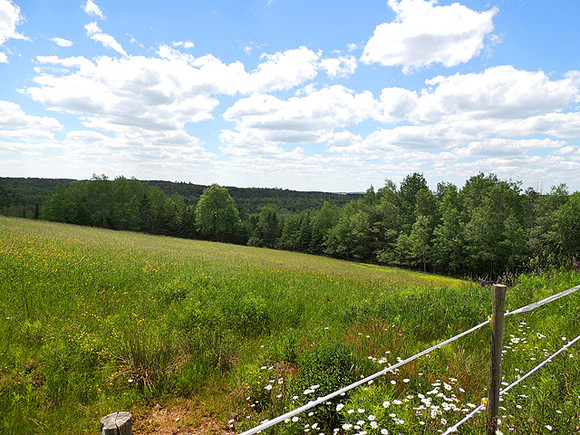 Nova Scotia Real Estate - Lunenburg Co. Hobby Farm