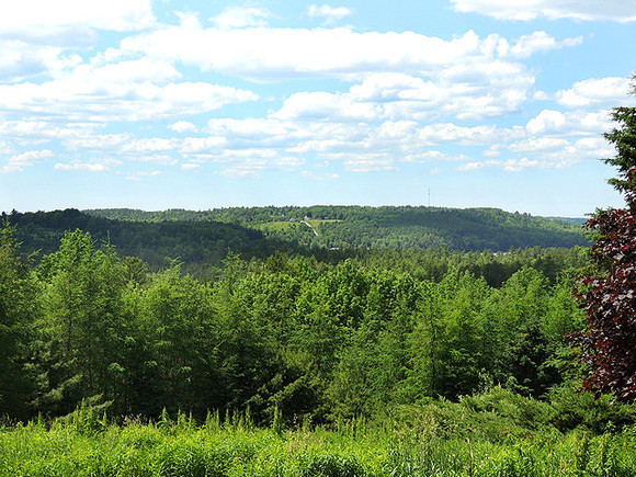 Nova Scotia Real Estate - Lunenburg Co. Hobby Farm