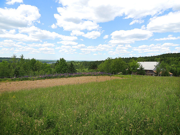 Nova Scotia Real Estate - Lunenburg Co. Hobby Farm