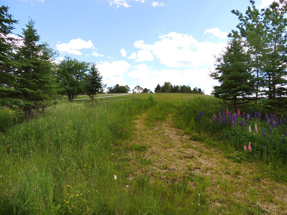 Nova Scotia Real Estate - Lunenburg Co. Hobby Farm