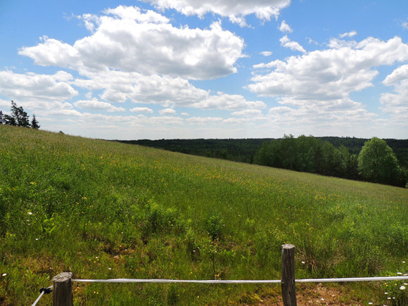 Nova Scotia Real Estate - Lunenburg Co. Hobby Farm