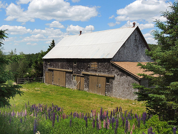 Nova Scotia Real Estate - Lunenburg Co. Hobby Farm