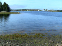 Corkums Island-Nova Scotia Ocean Front Real Estate