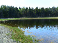 Corkums Island-Nova Scotia Ocean Front Real Estate