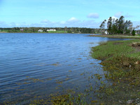 Corkums Island-Nova Scotia Ocean Front Real Estate