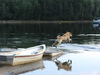 Nova Scotia Real Estate - Waterfront Cottage