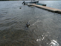 Nova Scotia Real Estate - Waterfront Cottage