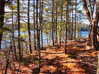 Nova Scotia Real Estate - Passive Solar Lakefront